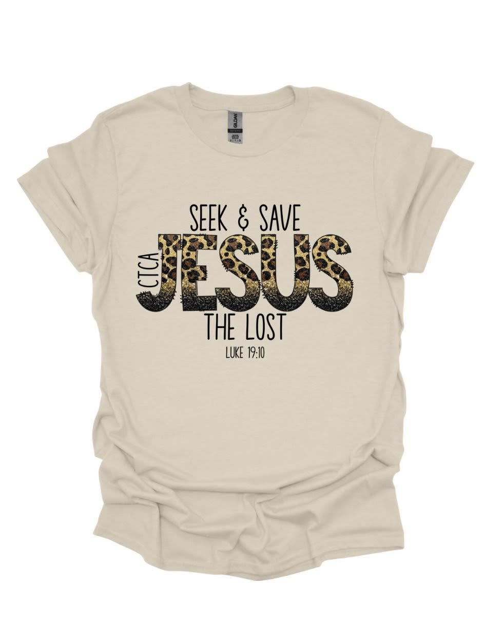 Jesus Seek and Save The Lost-CTCA