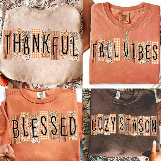 Thankful, Fall Vibes, Blessed, Cozy Season (Choose which one and add in notes when checking out)